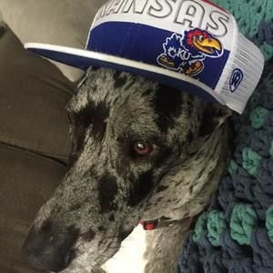 Meet your Posher, Travis